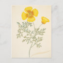 Pesquisar por margaret cartoes postais Francês