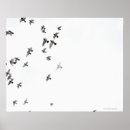 Pesquisar por visões do céu pôsteres Natureza