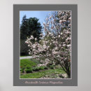 Pesquisar por magnolia pôsteres Magnólias