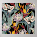 Pesquisar por flor strelitzia pôsteres Floral