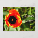 Pesquisar por sentimento cartoes postais Flores