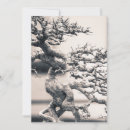 Pesquisar por bonsai cartoes Planta