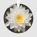 Pesquisar por lotus ornamentos Lótus