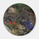 Pesquisar por perfumes imas Natureza