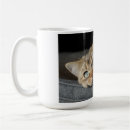 Pesquisar por kitten canecas Animal