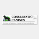 Pesquisar por canino autocolantes Pára choque