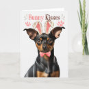 Pesquisar por miniature pinscher cartoes Pinça miniatura