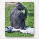Pesquisar por chimpanzé engraçado eletronicos Fotografia