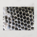 Pesquisar por hexágonos cartoes postais Mel