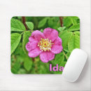 Pesquisar por wild eletronicos Rosa
