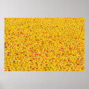 Pesquisar por pato de borracha pôsteres Patos
