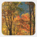 Pesquisar por miller adesivos Folhagem