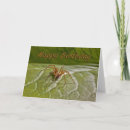 Pesquisar por merde cartoes Cartas