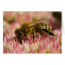 Pesquisar por apicultor cartoes Apiculturista