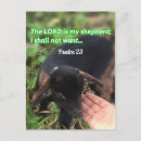 Pesquisar por o senhor é meu pastor cartoes postais Oração