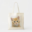 Pesquisar por gato malhado bolsas Fotografia
