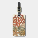 Pesquisar por recife bagagem tags Natureza