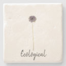 Pesquisar por comer me porta copos Qualquer pessoa