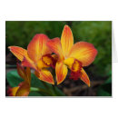 Pesquisar por tapeçaria cartoes Verde