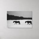 Pesquisar por cavalo preto impressão de canvas Equino