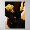 Pesquisar por pintura original pósteres pôsteres Gatinho