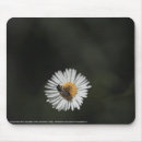 Pesquisar por páscoa eletronicos Jardim