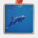 Pesquisar por nariz ornamentos Natureza