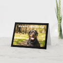 Pesquisar por ouça cartoes Fotografia