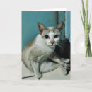 Pesquisar por kawaii cat cartoes Gatinho