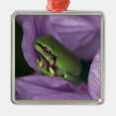 Pesquisar por multi colorido ornamentos Horizontal