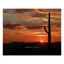 Pesquisar por cactus pôsteres Pôr do sol
