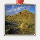 Pesquisar por erosão ornamentos Paisagem