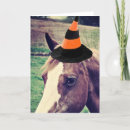 Pesquisar por pinto horse cartoes Photography