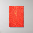 Pesquisar por veias impressão de canvas Vermelho