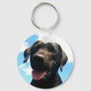 Pesquisar por labrador preto chaveiros Animais de estimação