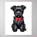 Pesquisar por miniature schnauzer pósteres pôsteres Cães