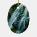 Pesquisar por cumprimento customizável Natureza