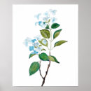 Pesquisar por flores azuis pôsteres Aquarela