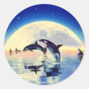 Pesquisar por baleia orca adesivos Golfinho
