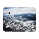 Pesquisar por aviao imas Natureza