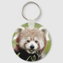 Pesquisar por pandas chaveiros Vermelho