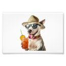 Pesquisar por amante de bull terrier pósteres pôsteres Engraçado