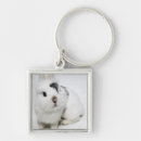 Pesquisar por coelho preto chaveiros Animal