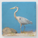 Pesquisar por garça real porta copos Pássaros