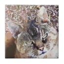 Pesquisar por gato de gato malhado azulejos Animais