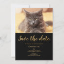 Pesquisar por cat wedding convites Animal