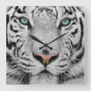 Pesquisar por tiger pôsteres White