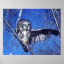 Pesquisar por oeste americano pósteres pôsteres Celeiro