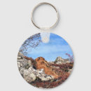 Pesquisar por lebre chaveiros Animais