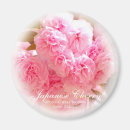 Pesquisar por sakura imas Rosa